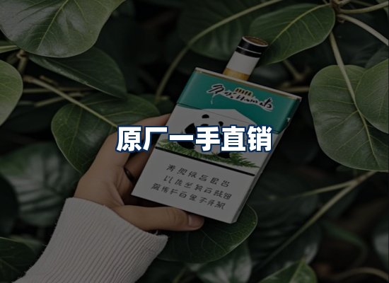 专业团队办公环境